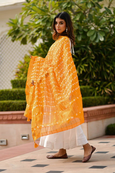 AAHELI AMBER YELLOW BANDHANI DUPATTA AAHELI AMBER YELLOW BANDHANI DUPATTA